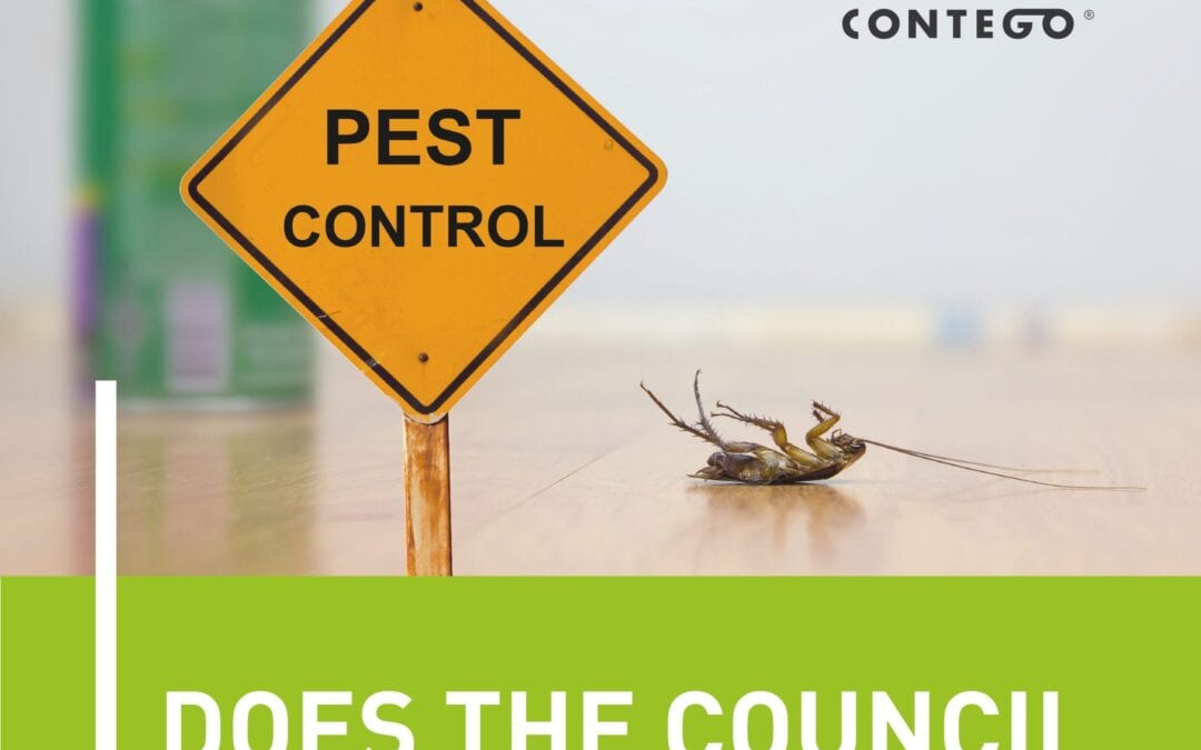 Does the Council Do Pest Control?