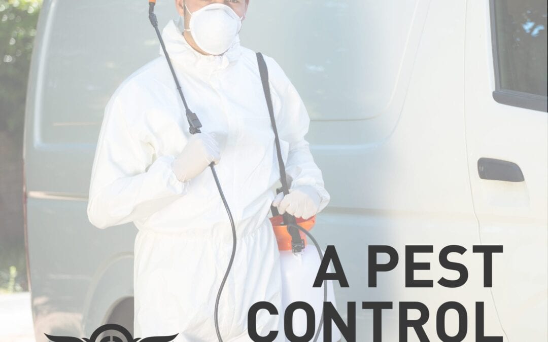 How to Choose a Pest Control Company?